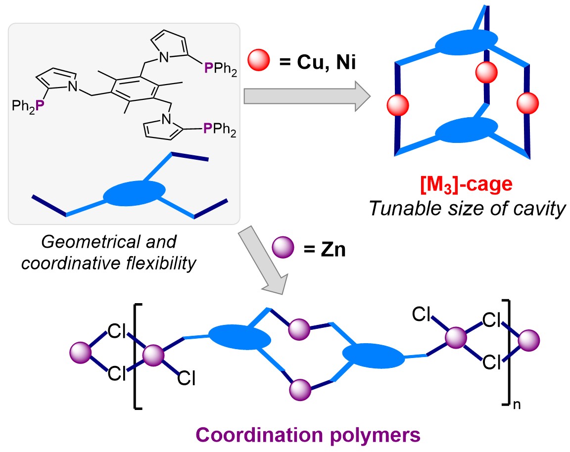 Jinyang, Qiuran, Lei and Chengyao’s work has been accepted by Chinese Chemistry Letters!